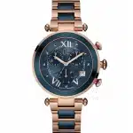 Montre Femme Guess Collection Ladychic Y05009M7