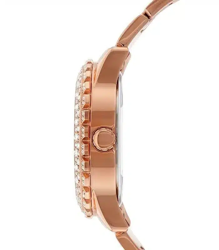 Prix montre Guess W0335L3 Femme Tunisie Prix montre Guess W0335L3 Femme Tunisie