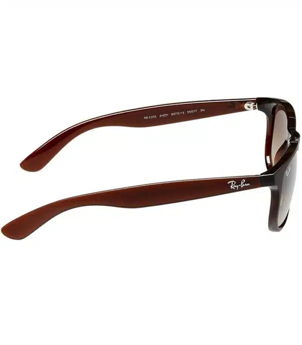Prix lunette Ray-Ban RB4202 6073 13 Homme et Femme Tunisie