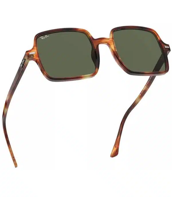 Prix lunette Ray Ban RB1973 954 31 Femme Tunisie Prix lunette Ray Ban RB1973 954 31 Femme Tunisie
