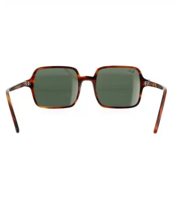 Lunette Ray-Ban RB1973 954 31 Homme et Femme prix Tunisie Lunette Ray-Ban RB1973 954 31 Homme et Femme prix Tunisie