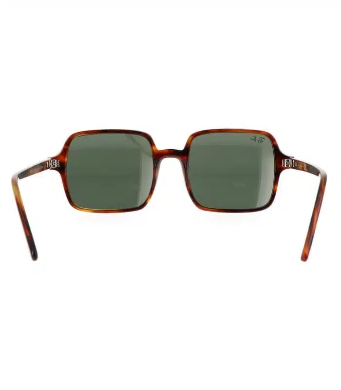 Lunette Ray-Ban RB1973 954 31 Homme et Femme prix Tunisie Lunette Ray-Ban RB1973 954 31 Homme et Femme prix Tunisie