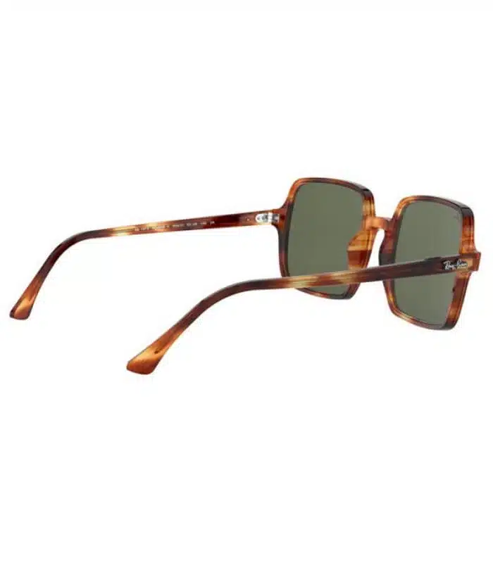Lunette Ray-Ban RB1973 954 31 Homme ou Femme Tunisie prix Lunette Ray-Ban RB1973 954 31 Homme ou Femme Tunisie prix