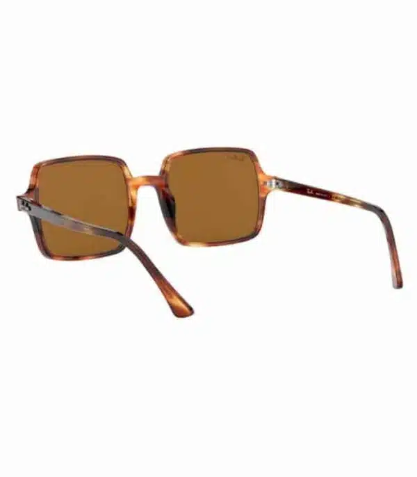 Lunette Ray-Ban RB1973 954 57 Femme Lunettes prix Tunisie Lunette Ray-Ban RB1973 954 57 Femme Lunettes prix Tunisie