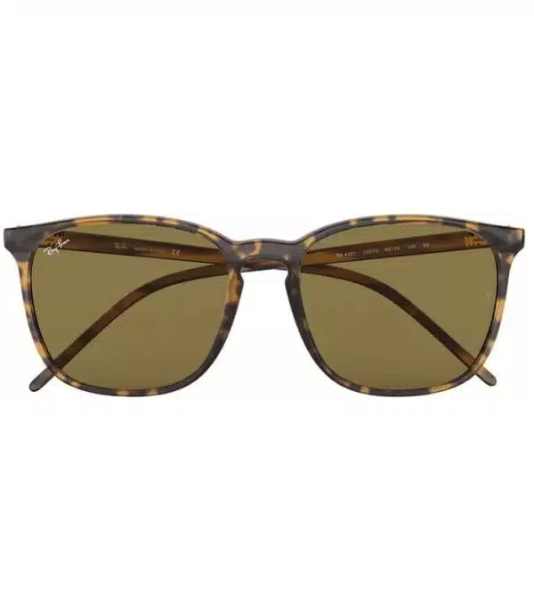 Lunette Ray-Ban RB4387 710 73 Homme et femme Tunisie prix