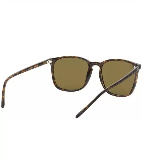 Lunette Ray-Ban RB4387 710 73 Homme ou femme prix Tunisie