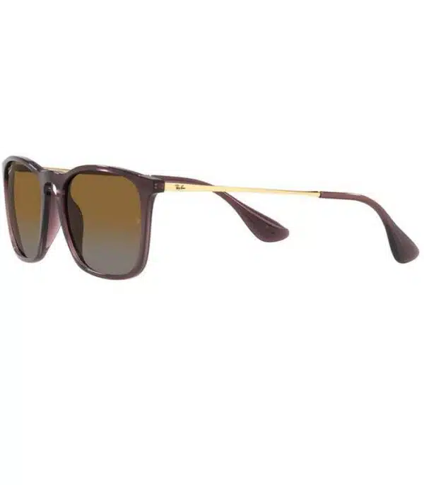 Lunette Ray Ban Chris RB4187 6593T5 pour Homme et Femme prix Tunisie