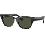 Lunette de Soleil Ray-Ban Laramie RB2201 901/31
