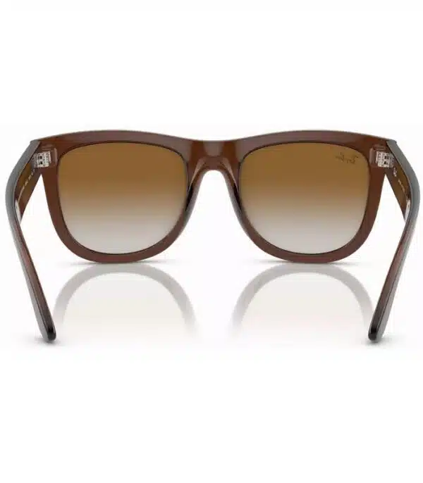 Prix lunette Homme et Femme Ray-Ban Wayfarer Reverse RBR0502S 6714 CB Tunisie