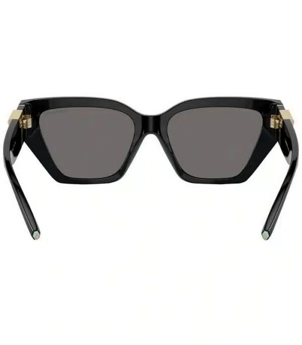 Prix lunette de Soleil Femme Tiffany & Co TF4218 8001 Tunisie
