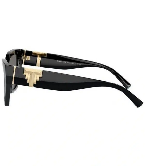 Prix lunette de Soleil Tiffany & Co TF4218 8001 Femme Tunisie