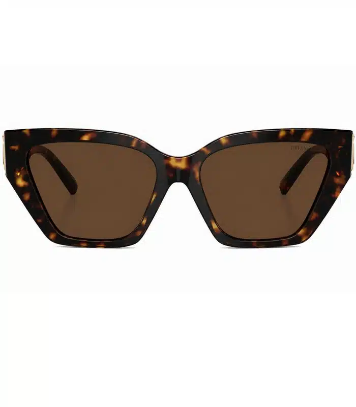 Lunette de Soleil Tiffany & Co TF4218 8134 Femme prix Tunisie Lunette de Soleil Tiffany & Co TF4218 8134 Femme prix Tunisie