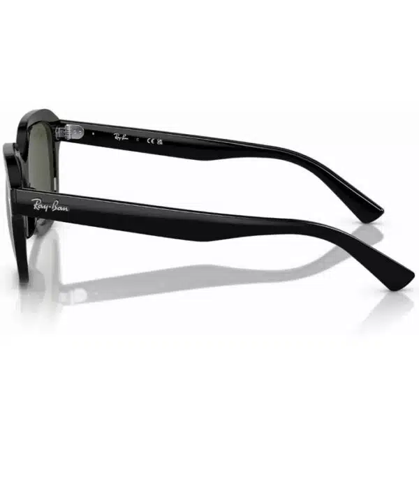 Prix lunette Homme et Femme Ray Ban Erik RB4398 901 31 Tunisie