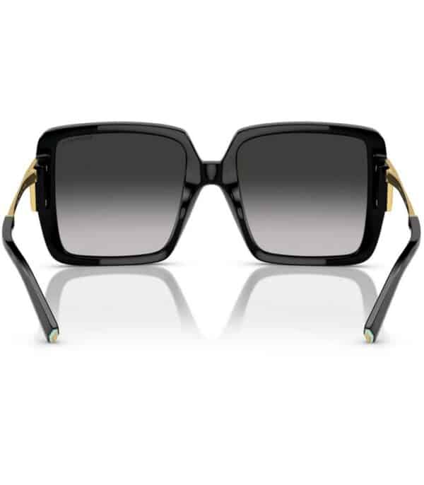 Prix lunette de Soleil Femme Tiffany & Co TF4212 502 13 Tunisie Prix lunette de Soleil Femme Tiffany & Co TF4212 502 13 Tunisie
