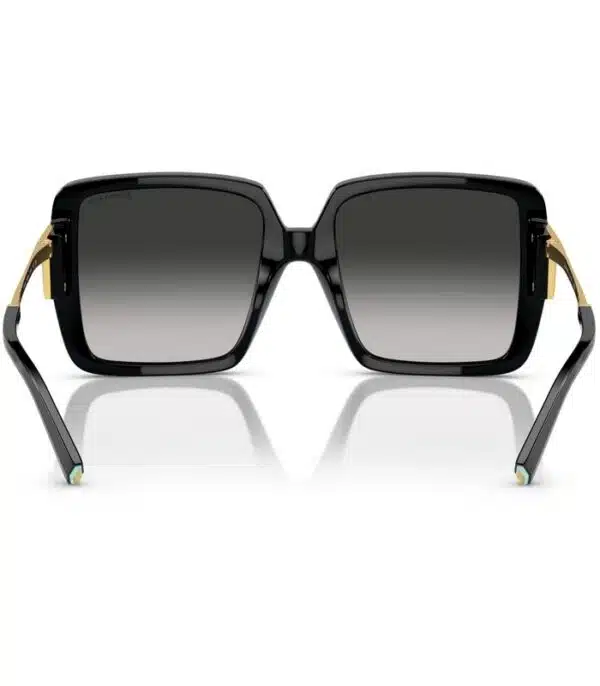 Prix lunette de Soleil Femme Tiffany & Co TF4212 502 13 Tunisie Prix lunette de Soleil Femme Tiffany & Co TF4212 502 13 Tunisie