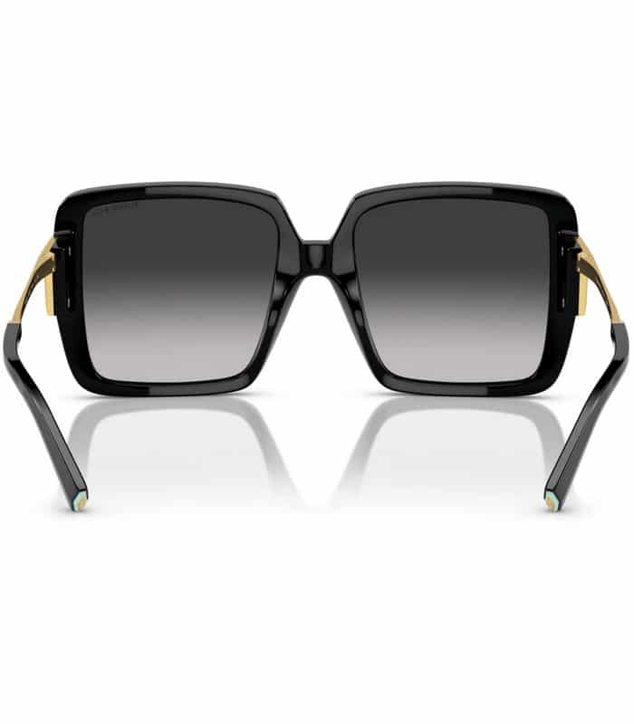 Prix lunette de Soleil Femme Tiffany & Co TF4212 502 13 Tunisie Prix lunette de Soleil Femme Tiffany & Co TF4212 502 13 Tunisie