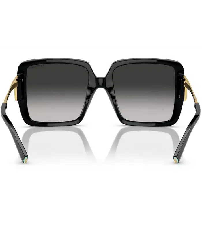 Prix lunette de Soleil Femme Tiffany & Co TF4212 502 13 Tunisie Prix lunette de Soleil Femme Tiffany & Co TF4212 502 13 Tunisie