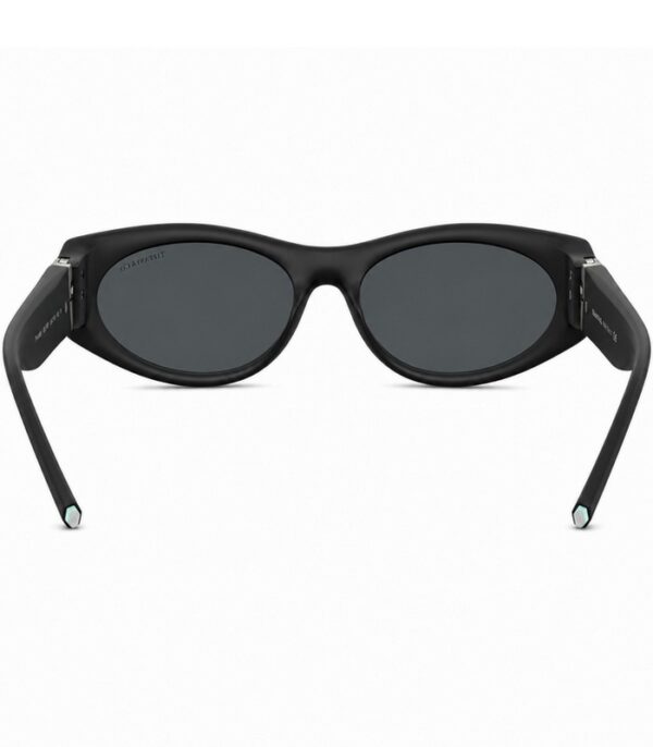 Prix lunette de Soleil Femme Tiffany & Co TF4222U 8001 Tunisie Prix lunette de Soleil Femme Tiffany & Co TF4222U 8001 Tunisie