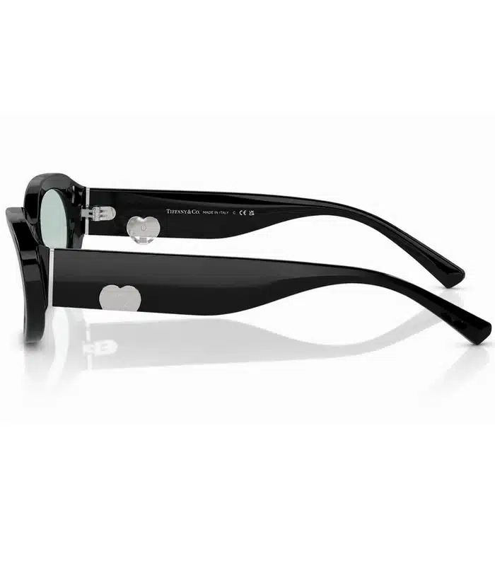 Prix lunette de Soleil Tiffany & Co TF4221 Femme Tunisie Prix lunette de Soleil Tiffany & Co TF4221 Femme Tunisie